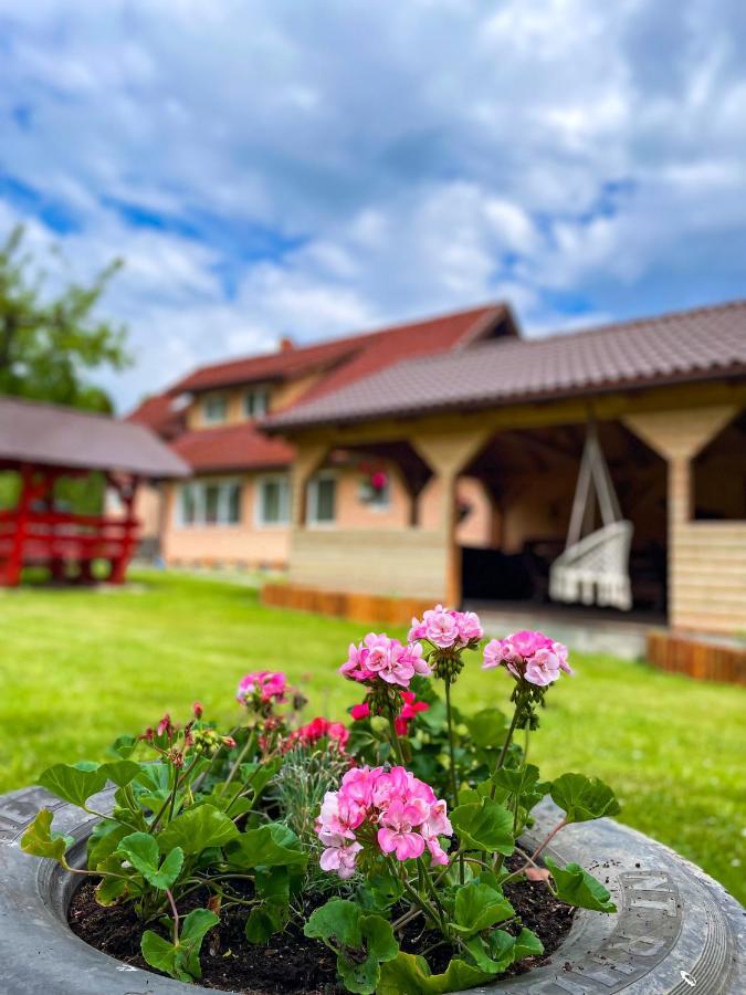 Vila Lilica Bran  Exteriér fotografie